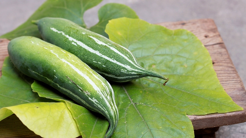 Khổ qua tây là gì? Dinh dưỡng và công dụng của khổ qua tây 1