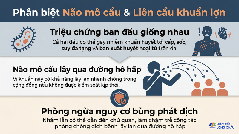 Não mô cầu và liên cầu khuẩn lợn có nhiều biểu hiện ban đầu tương đồng