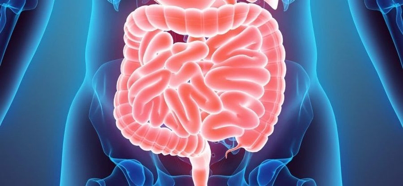 Khoa ngoại tiêu hoá bao gồm những bệnh nào? Các dịch vụ điều trị chuyên khoa ngoại tiêu hoá 1