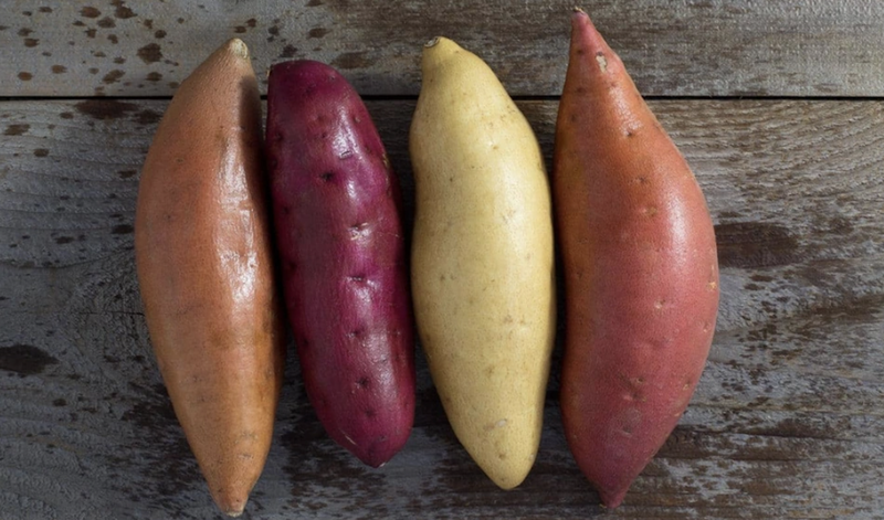 khoai-lang-tim-va-khoai-lang-vang-loai-nao-tot-hon 3