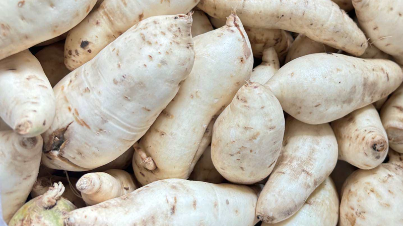 khoai-lang-trang-mang-lai-loi-ich-gi-cho-suc-khoe 1