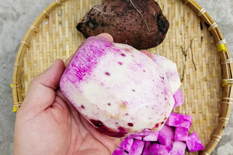 Khoai mỡ có thành phần dinh dưỡng gì? Những lợi ích sức khỏe nổi bật - 2