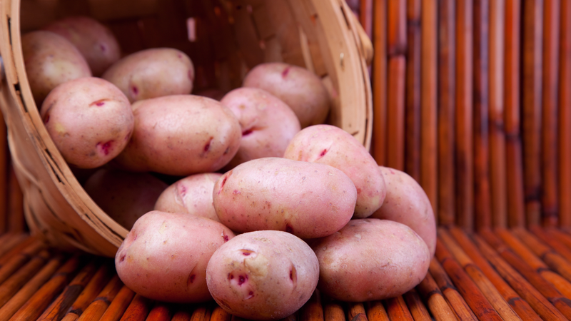 Phần mầm và vỏ xanh của khoai sẽ sinh ra chất solanin gây ngộ độc nếu tiêu thụ với lượng lớn