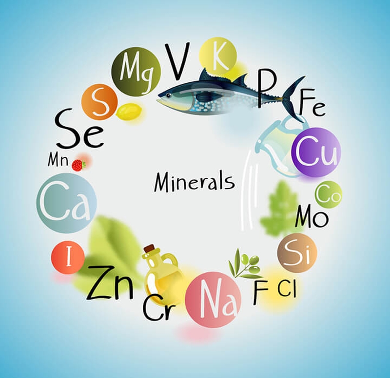 Giải đáp thắc mắc: Nguyên tố vi lượng là gì? 1