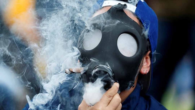 Khói cần sa chứa các chất hóa học độc hại 1