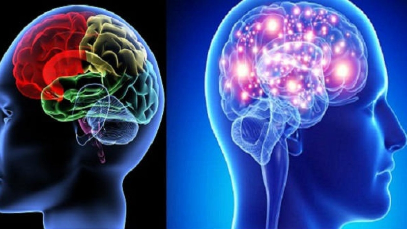 Khối u hệ thần kinh trung ương ở trẻ em: thống kê 2