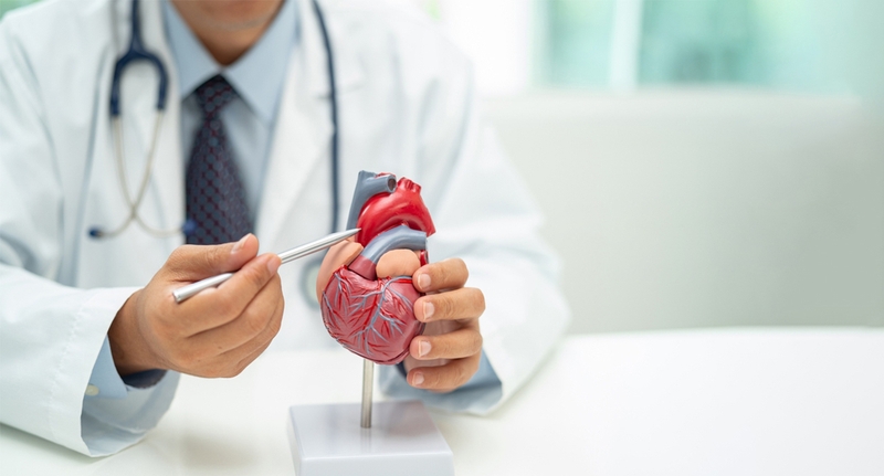 Khối u tim lành tính là gì? Cách chẩn đoán và phương pháp điều trị - 1