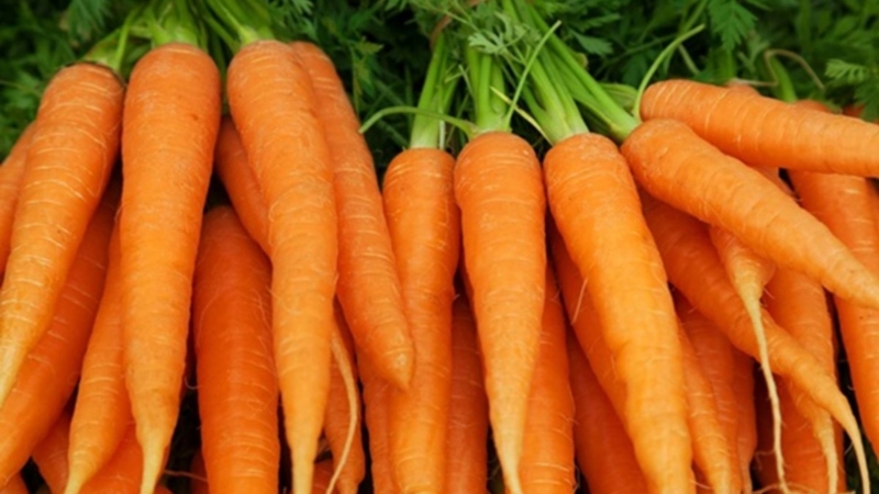 Không có máy ép, bạn vẫn có thể làm nước ép cà rốt bằng máy xay sinh tố - 1