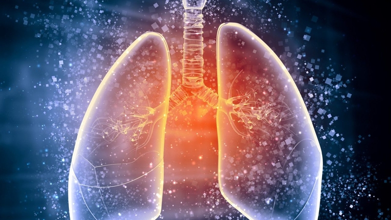 Không có ống dẫn tinh bẩm sinh: Nguyên nhân, biểu hiện và điều trị bệnh 2