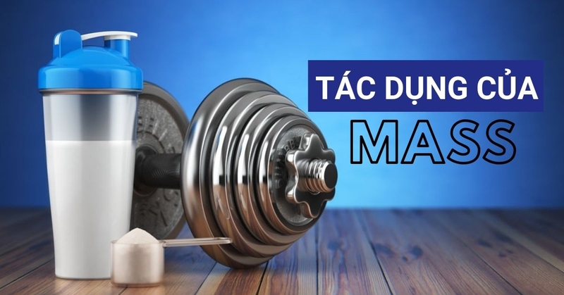 Không tập gym có nên uống mass? Cách dùng như thế nào? 1