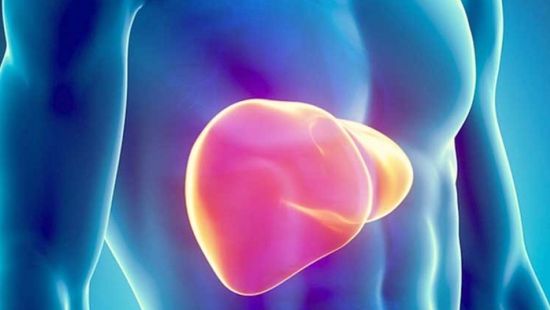 Kích thước gan bình thường: Hiểu biết quan trọng cho sức khỏe của bạn1