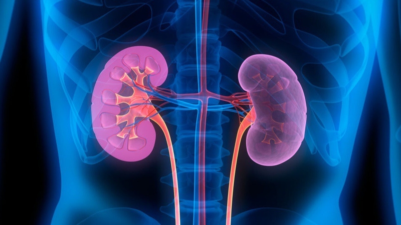 Kích thước nang thận to bao nhiêu thì phải mổ? 4