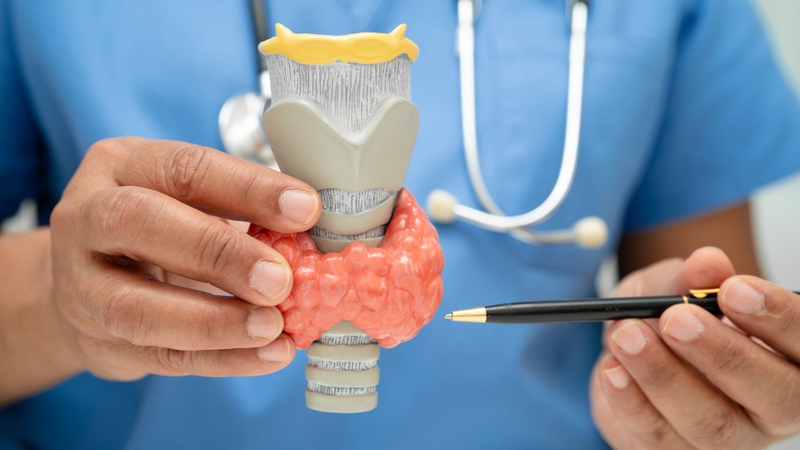 Kích thước nhân tuyến giáp lớn trên 10mm cần theo dõi và đánh giá nguy cơ