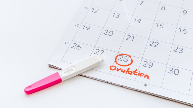 Kích trứng là gì? Đây là biện pháp y khoa giúp trứng phát triển và rụng đúng thời điểm