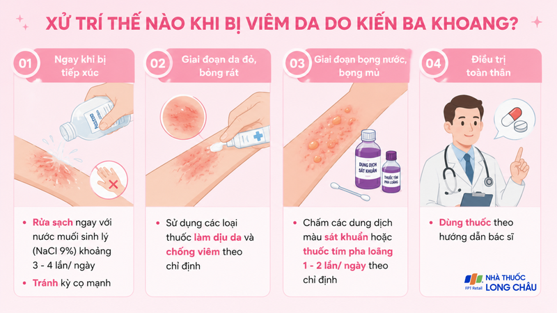 Xử trí khi bị viêm da do kiến ba khoang
