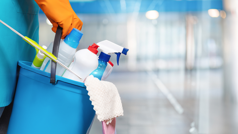 Thường xuyên dọn dẹp gầm tủ, góc tường, nhà kho hoặc các khu vực ít sử dụng để giảm nơi trú ẩn của côn trùng