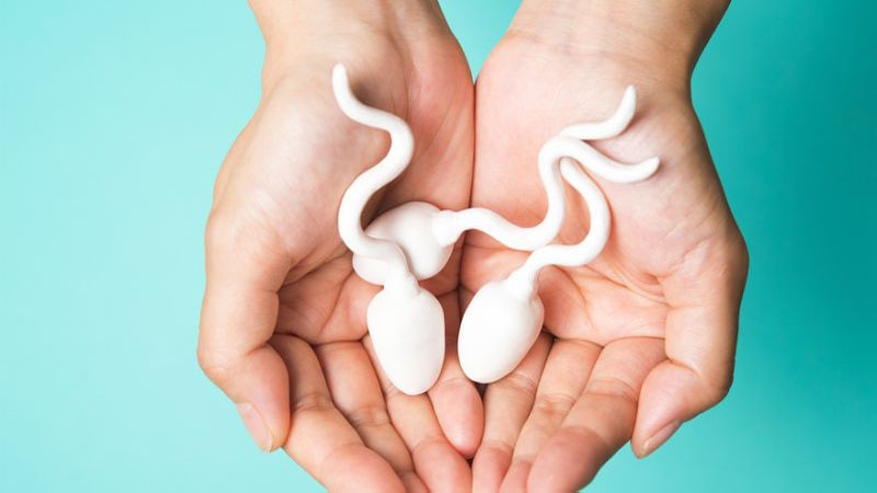 Ăn gì để tinh trùng hết loãng