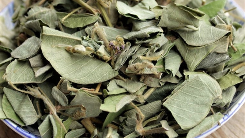 Kinh nghiệm dùng kim tiền thảo chữa sỏi thận và những điều cần biết 2