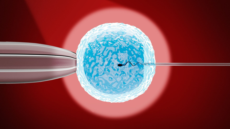 Kinh nghiệm làm ivf thành công ngay từ lần đầu