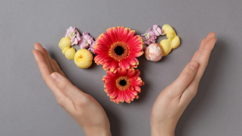 Sự mất cân bằng hormone estrogen và progesterone có thể khiến chu kỳ kinh ngắn bất thường