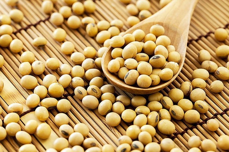 Cách chữa kinh nguyệt ra ít