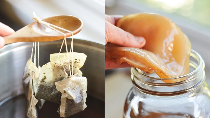 Kombucha là gì? Cách nuôi kombucha bằng mật ong 3