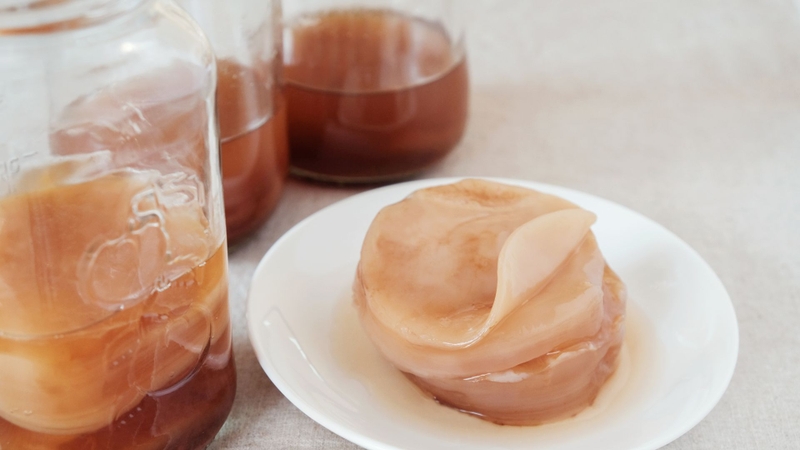Kombucha là gì? Cách nuôi và bảo quản Scoby trong trà Kombucha5