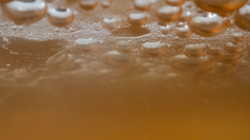 Kombucha là gì? Cách nuôi và bảo quản Scoby trong trà Kombucha6