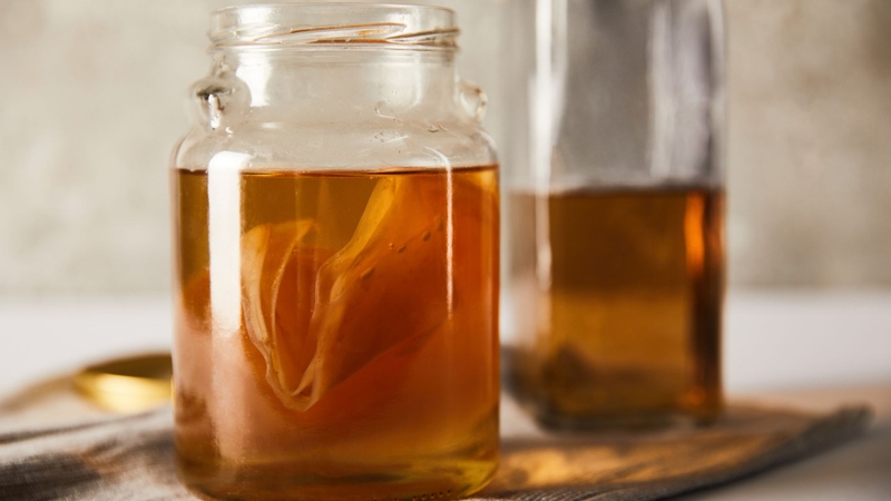 Kombucha là gì? Cách nuôi và bảo quản Scoby trong trà Kombucha2
