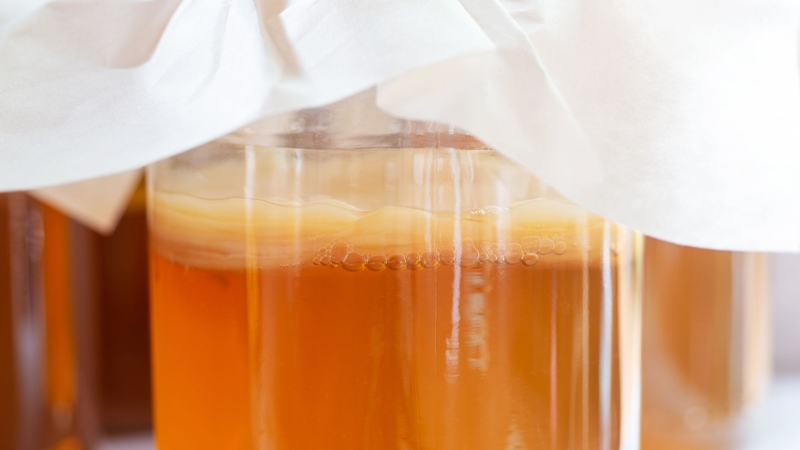 Kombucha là gì? Cách nuôi và bảo quản Scoby trong trà Kombucha3