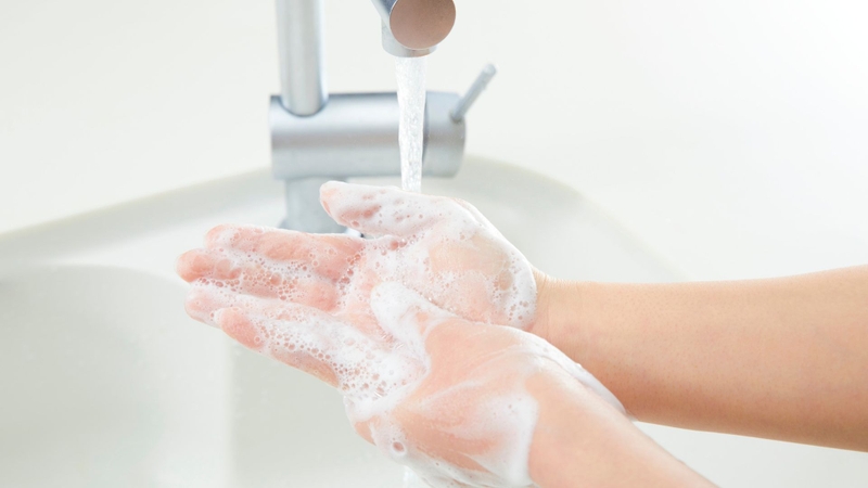 Người nuôi chó cần thường xuyên rửa tay bằng xà phòng sau tiếp xúc với chó