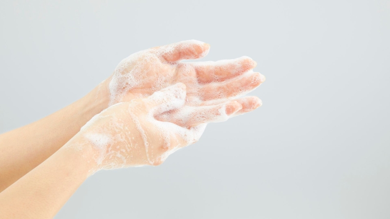 Rửa tay với xà phòng thường xuyên giúp giảm nguy cơ nhiễm ký sinh trùng máu ở chó