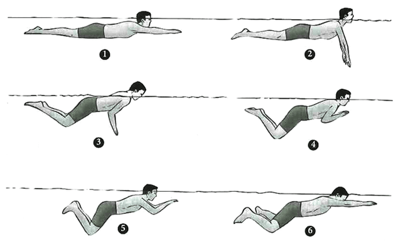 Hướng dẫn kỹ thuật bơi ếch cơ bản đúng cách chuẩn nhất-3