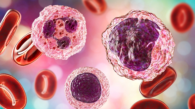 Kỹ thuật flow cytometry là gì? Ứng dụng trong y học ra sao? 5