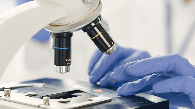 Kỹ thuật FMT là gì? 1