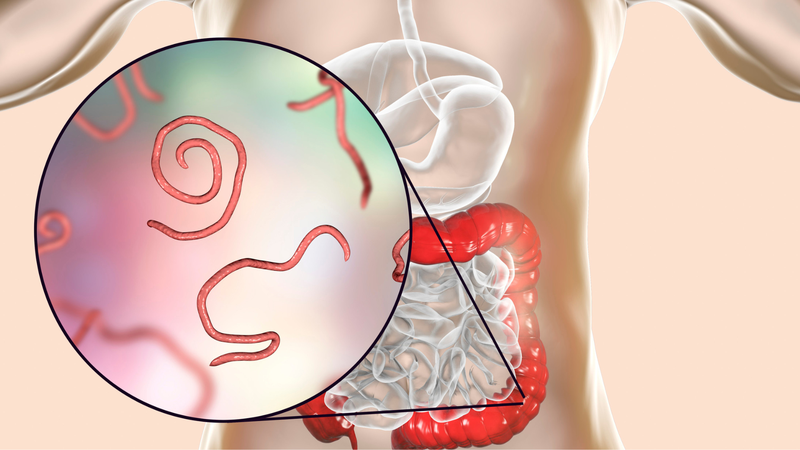 Kỹ thuật FMT là gì?2