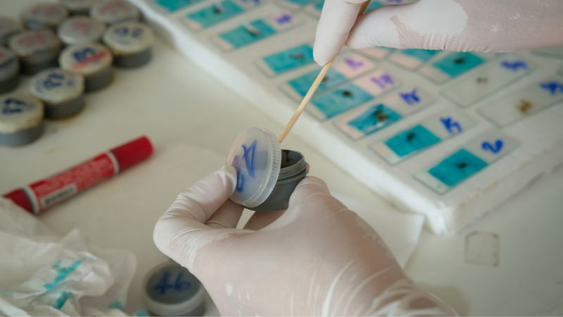 Kỹ thuật FMT là gì? 3