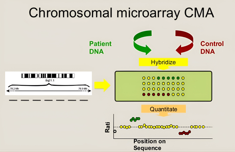 Kỹ thuật Microarray là gì? Công dụng và nguyên lý hoạt động của nó? 1