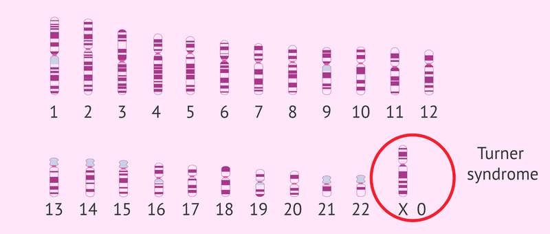 Kỹ thuật Microarray là gì? Công dụng và nguyên lý hoạt động của nó? 2