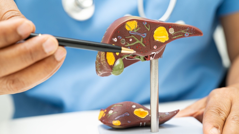 Việc sử dụng kỷ tử đúng cách giúp bồi bổ gan thận