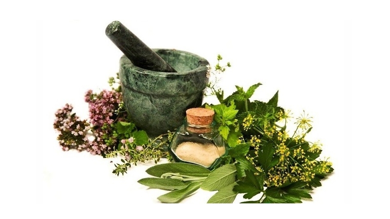 lá cây chữa bệnh trào ngược dạ dày 2