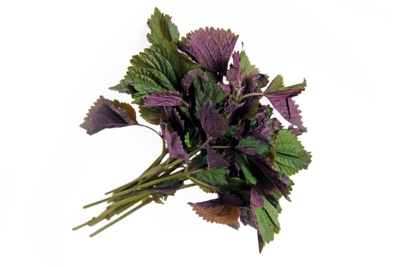 lá cây chữa bệnh trào ngược dạ dày 4