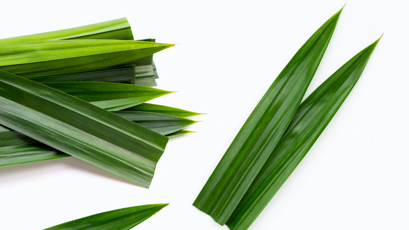 Lá dứa kỵ với gì? Cần cân nhắc tùy theo thể trạng