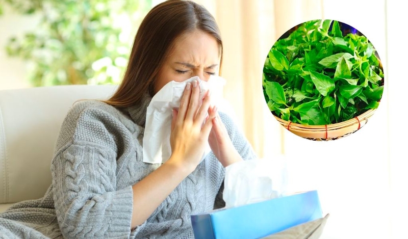 Lá é là lá gì? Có công dụng như thế nào với sức khỏe? 3