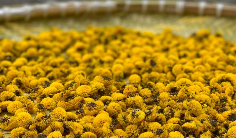 La hán quả kết hợp với gì giúp thanh nhiệt, giải độc cơ thể 1