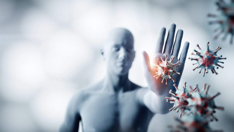 la-he-xao-trung-co-tac-dung-gi-nhung-thuc-pham-ban-nen-biet 2