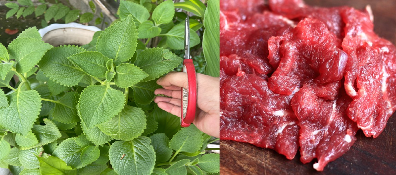 Lá húng chanh ăn với gì để tăng cường sức khỏe? 2