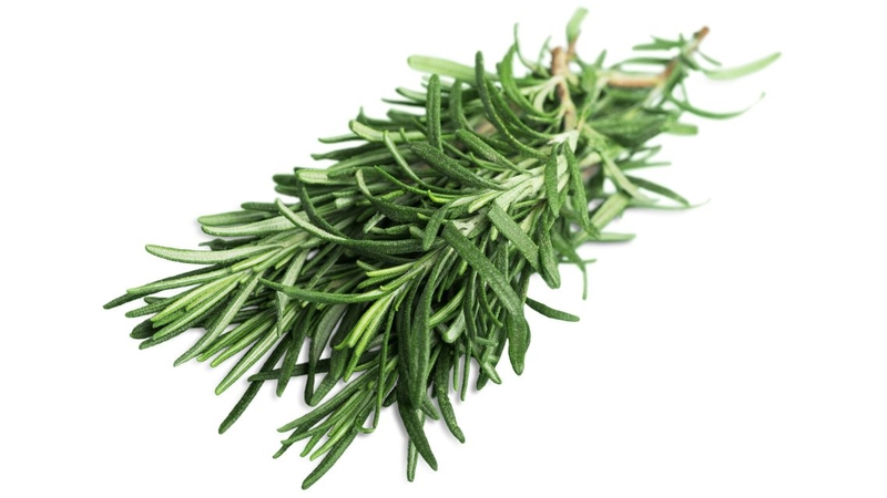 Có nhiều cách để bạn khai thác lợi ích từ lá hương thảo