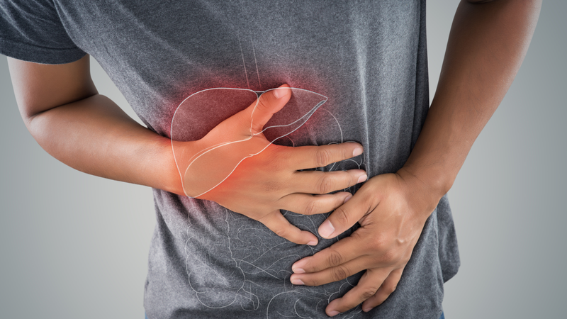 Xơ gan có thể gây nên tình trạng lá lách to