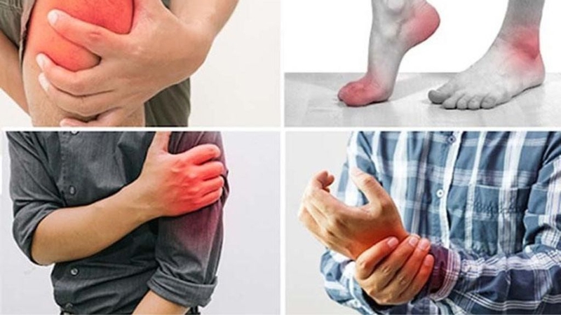 Lá lốt chữa đau nhức xương khớp có hiệu quả không? 1